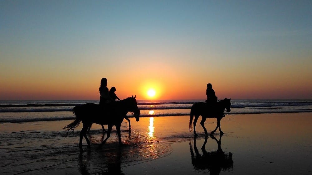 Estudiar en Noosa Montar a caballo en el paraíso